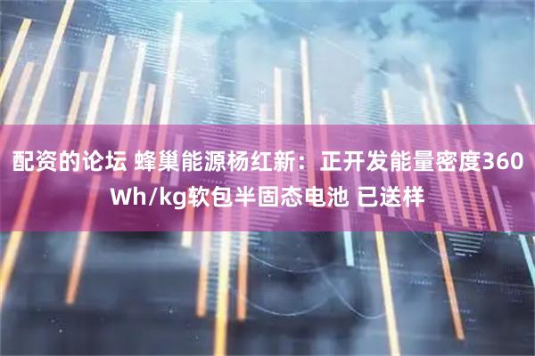 配资的论坛 蜂巢能源杨红新：正开发能量密度360Wh/kg软包半固态电池 已送样