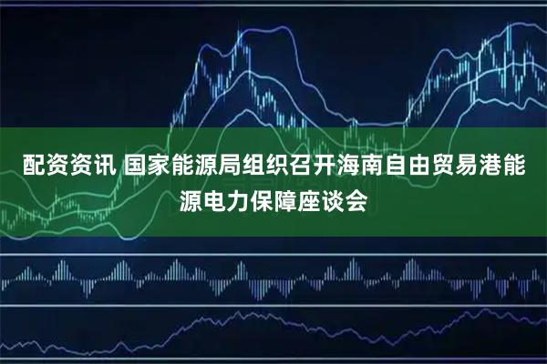 配资资讯 国家能源局组织召开海南自由贸易港能源电力保障座谈会